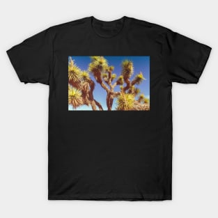Yucca Joshua T-Shirt